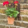 Cast Iron Pot Holder -GardenGlamour pr2000004463