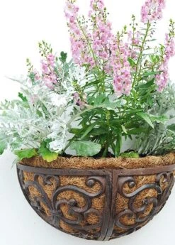 Cast Iron Wall Manger -GardenGlamour pr2000004969 card3 lg