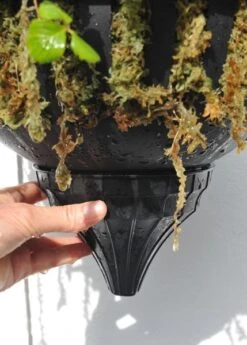 Pair Of Self-watering Hanging Baskets -GardenGlamour pr2000006136 card3 lg