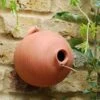 Blue Tit Terracotta Bird Pot 2 Blue Tit Terracotta Bird Pot -GardenGlamour pr2000007298