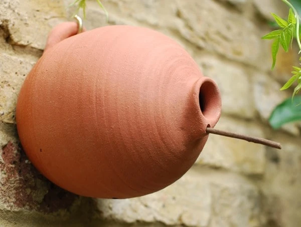 Blue Tit Terracotta Bird Pot 5 Blue Tit Terracotta Bird Pot - Image 3