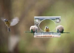 Complete Window Feeder For Birds -GardenGlamour pr2000008345 card3 lg