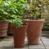 Empoli Terracotta Lily Pot -GardenGlamour pr2000012808