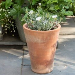 Empoli Terracotta Lily Pot -GardenGlamour pr2000012808 card3 lg