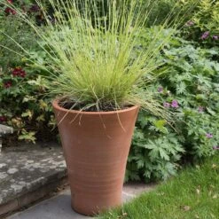 Empoli Terracotta Lily Pot -GardenGlamour pr2000012808 card7 lg