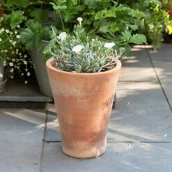 Empoli Terracotta Lily Pot -GardenGlamour pr2000012808 card8 lg