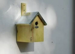 Blue Tit Nesting Box -GardenGlamour pr2000013164 card3 lg