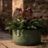 Verdigris Plant Bowl/drink Bucket -GardenGlamour pr2000016191