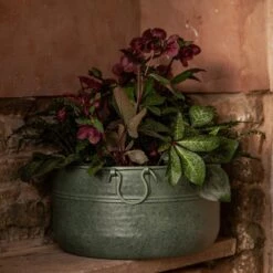 Verdigris Plant Bowl/drink Bucket -GardenGlamour pr2000016191 card4 lg