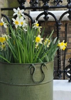 Verdigris Tall Metal Planter -GardenGlamour pr2000016192 card3 lg