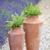 Terracotta Oil Pot -GardenGlamour pr2000016940