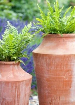 Terracotta Oil Pot -GardenGlamour pr2000016940 card4 lg