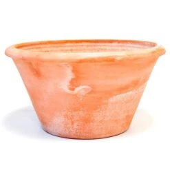 Terracotta Arc Pot -GardenGlamour pr2000016942 card10 lg