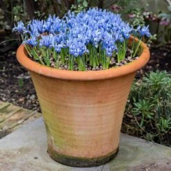 Terracotta Arc Pot -GardenGlamour pr2000016942 card6 lg