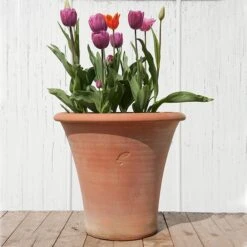 Terracotta Arc Pot -GardenGlamour pr2000016942 card8 lg