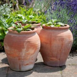 Terracotta Tulip Pot -GardenGlamour pr2000017349 card10 lg