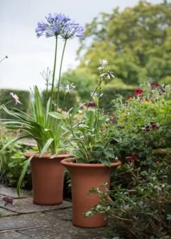 Terracotta Flared Rim Pot -GardenGlamour pr2000017350 card8 lg