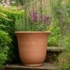 Terracotta Perennial Bell Pot -GardenGlamour pr2000017362