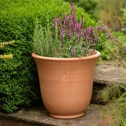 Terracotta Perennial Bell Pot -GardenGlamour pr2000017362 card5 lg
