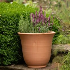 Terracotta Perennial Bell Pot -GardenGlamour pr2000017362 card6 lg