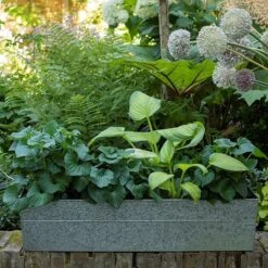 Embossed Galvanised Window Trough -GardenGlamour pr2000018441 card3 lg