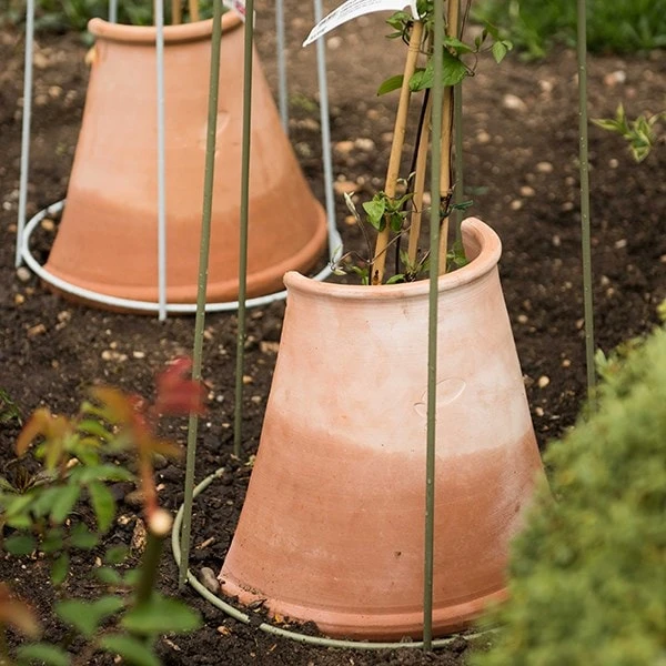 Clematis Root Protector 4 Clematis Root Protector - Image 2