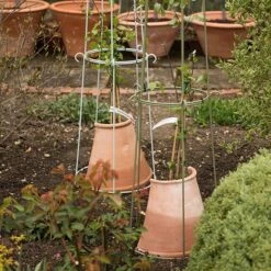 Clematis Root Protector 11 Clematis Root Protector -GardenGlamour pr2000020697 card3 lg