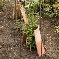 Clematis Root Protector 13 Clematis Root Protector -GardenGlamour pr2000020697 card5 lg