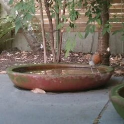 Terracotta Saucer -GardenGlamour pr2000022770 card3 lg