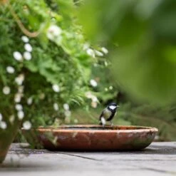 Terracotta Saucer -GardenGlamour pr2000022770 card6 lg