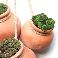 Terracotta Babylon Hanging Pot -GardenGlamour pr2000023695 card5 lg