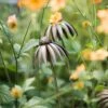 Echinacea Plant Stake - Antique Bronze 2 Echinacea Plant Stake - Antique Bronze -GardenGlamour pr2000026357