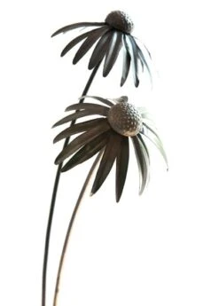 Echinacea Plant Stake - Antique Bronze -GardenGlamour pr2000026357 card9 lg