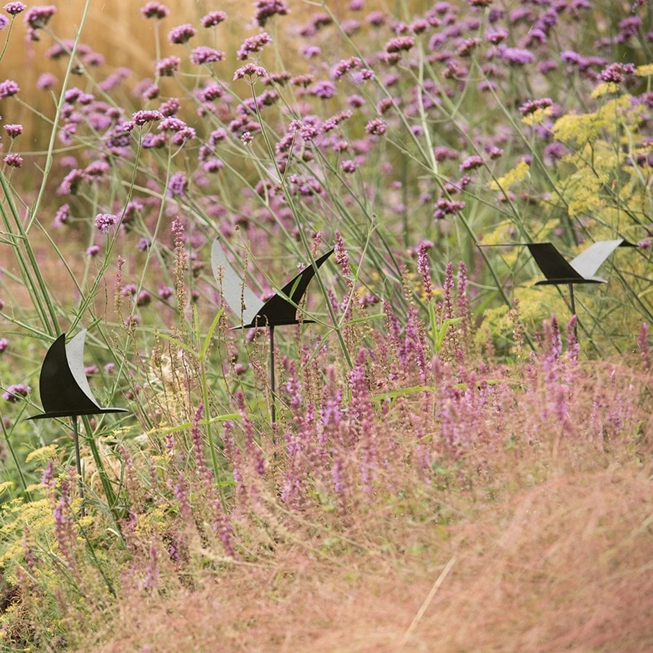 Silhouette Flying Bird 3 Silhouette Flying Bird