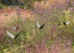 Silhouette Flying Bird 10 Silhouette Flying Bird -GardenGlamour pr2000026361 card3 lg