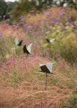 Silhouette Flying Bird 11 Silhouette Flying Bird -GardenGlamour pr2000026361 card4 lg