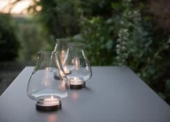 Tulip Hurricane Lantern -GardenGlamour pr2000026365 card5 lg