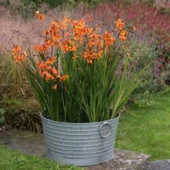 Ribbed Galvanised Tub