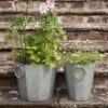 Faceted Galvanised Planter -GardenGlamour pr2000027856