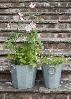 Faceted Galvanised Planter -GardenGlamour pr2000027856 card4 lg