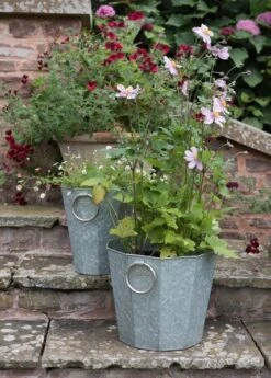 Faceted Galvanised Planter -GardenGlamour pr2000027856 card6 lg