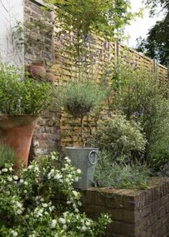 Faceted Galvanised Planter -GardenGlamour pr2000027856 card9 lg