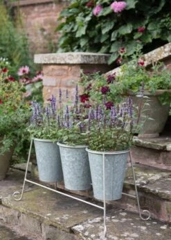Three Galvanised Pots And Stand 9 Three Galvanised Pots And Stand -GardenGlamour pr2000027863 card3 lg