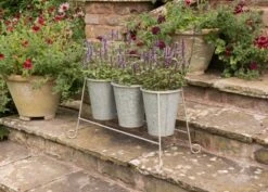 Three Galvanised Pots And Stand 10 Three Galvanised Pots And Stand -GardenGlamour pr2000027863 card4 lg
