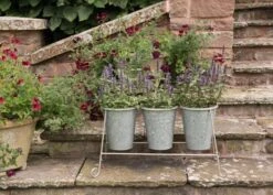 Three Galvanised Pots And Stand 11 Three Galvanised Pots And Stand -GardenGlamour pr2000027863 card5 lg