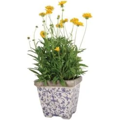 Aged Ceramic Flower Pots - Set Of 3 -GardenGlamour pr2000028008 card3 lg