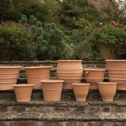 Monachou Terracotta Pot -GardenGlamour pr2000028341 card5 lg