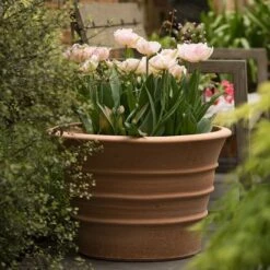 Monachou Fardipati Terracotta Pot -GardenGlamour pr2000028348 card6 lg