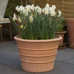 Monachou Fardipati Terracotta Pot -GardenGlamour pr2000028348 card7 lg
