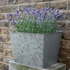 Galvanised Planter -GardenGlamour pr2000028358 card4 lg